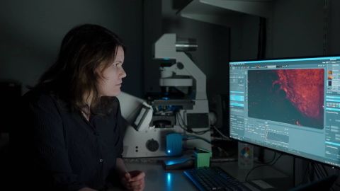 trauma in het vrouwenbrein