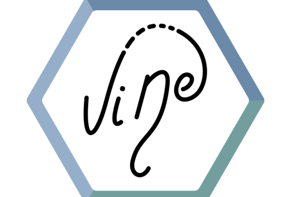 ViNe Logo